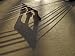 Bridge and Strings Cast Shadows across the Head of a Banjo Photographic Poster Print by White & Petteway , 18x24