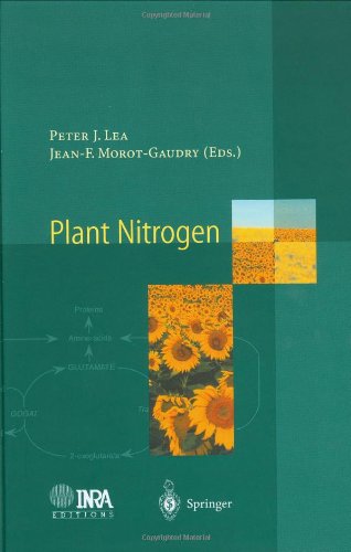 Plant