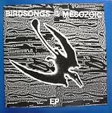 Birdsongs of the Mesozoic EP