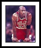 Michael Jordan Chicago Bulls NBA Framed 8x10 Photograph Hands On Shorts