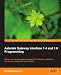 Asterisk Gateway Interface 1.4 and 1.6 Programming