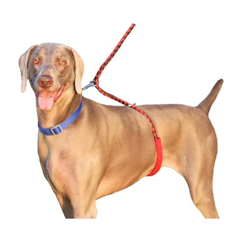 Paws Aboard Monster Walker Dog Walking Leash Red Black Heather B