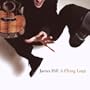 A Flying Leap (IMPORT)