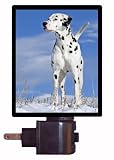 Dog Night Light - Dalmatian