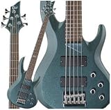 ESP LTD
