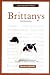 A New Owner's Guide to Brittanys (JG Dog)