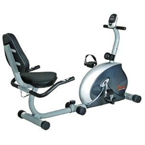 Sunny Health and Fitness Magnetic Recumbent Bike