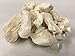 Whole Life Pet Single Ingredient USA Freeze Dried Cod Filet Treats for Dogs, 2-Ounce