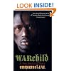 War Child: A Boy Soldier's Story