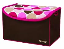 Sassy Soft Sided Toy Organizer, Pink Mod
From Sassy
