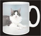 MAINE COON SILVER TORTIE CAT Coffee Mug