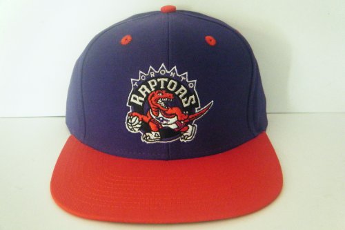 Toronto Raptors NEW Vintage Snapback Hat