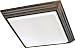 Minka Lavery Flush Mounts 1000-126-PL Square 4-LT 68w (5H x 29W) ES Flush Mount in Belcaro Walnut