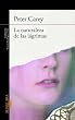 La naturaleza de las lágrimas (Alfaguara Literaturas) (Spanish Edition)
