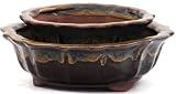 BuyBonsai's SET of 2 Round Glazed Bonsai Pots