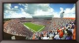 Florida Gators Sports Framed Art Poster Print, 33x18