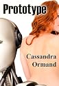Prototype (Romantic Intrigue)