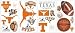 UNIVERSITY OF TEXAS APPLIQUES PEEL AND STICK