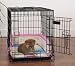 Pet Supplies : PINK - Baby Bumper Embroidered Crate Kit