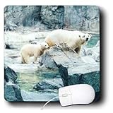 Renderly Yours Bears - Polar Bear Mother And Cub Go For A Walk - Mouse Pads