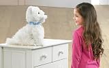 picture of Animagic Benji My Best Friend Soft Toy
