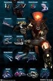 Halo 3 (Chart, Covanant) Art Poster Print - 22