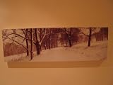 Click for more about First Snow Canvas - .