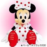 ディズニー ウェイトドール(体重ドール) ミニーマウス(ドレス) 足裏刺繍付