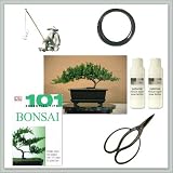 Joebonsai - Do It Yourself Bonsai Tree Starter Kit with Juniper