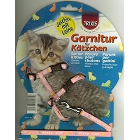 Kitten Harness Set Baby Cats Training Pets Cat Safety