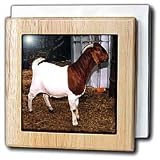 Farm Animals - Boer Doe Goat - Tile Napkin Holders
