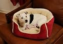 Happy Tails Designer Corduroy Cozy Pet Bed, Cherry