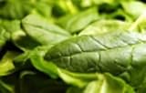 How to Garden Spinach the Easy Way!
