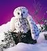 Snowy Owl Puppet 21" by Folkmanis Puppets