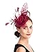 SAFERIN Fascinators Hat Flower Mesh Feathers on a Headband and a Clip Cocktail Church Tea Party Headwear Pillow for Girls and Women (Ta4-sinamay Feather Burgundy)