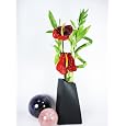 BUY : 9GreenBox - Live Spiral Large 5 Style 20" Lucky Bamboo Plant Arrangement w/ Ceramic Black Vase & Silk Flower