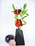 9GreenBox - Live Spiral Large 5 Style 20 Lucky Bamboo Plant Arrangement w/ Ceramic Black Vase & Silk Flower