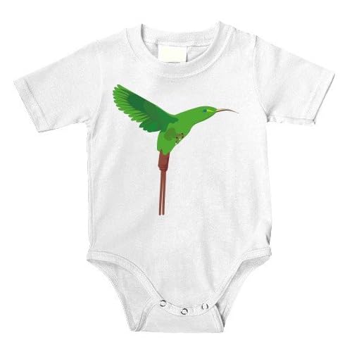 hummingbird onesie