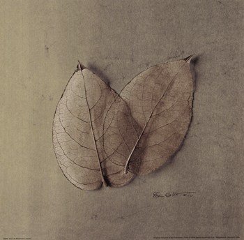 Pair Of Skelton Leaves - Poster by Ed Goldstein (10x10)