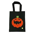 Fiber Optic Halloween Treat Bag