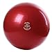 GoFit 65cm Professional Stability Ball