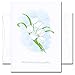 Sympathy Cards: Sincere - box of 10 cards & envelopes