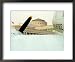 Detail of ROK Airforce Plane outside War Memorial and Museum, North of River, Seoul, South Korea World Culture Framed Photographic Poster Print by Anthony Plummer, 22x18