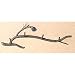 Pine Wall Coat Rack by Stone County Ironworks