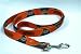 Cleveland Browns 4' Pet Dog Leash (Large)