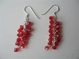 Red Siam Crystal Sterling Silver Earrings Genuine Swarovski Siam Red Crystal Silver Earrings (BRAND NEW)