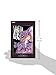 D.Gray-man (3-in-1 Edition), Vol. 4: Includes vols. 10, 11 & 12 (4)