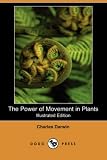 Cover for 9781406511994
