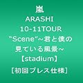ARASHI 10-11TOUR “Scene”～君と僕の見ている風景～【stadium】 [初回プレス仕様] [DVD]