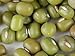 Mung Bean Sprouting Seed: 4 Oz - Organic, Non-GMO - Handy Pantry Brand - Dried Mung Beans for Sprouts, Garden Planting, Chinese & Asian Cooking, Soup & More